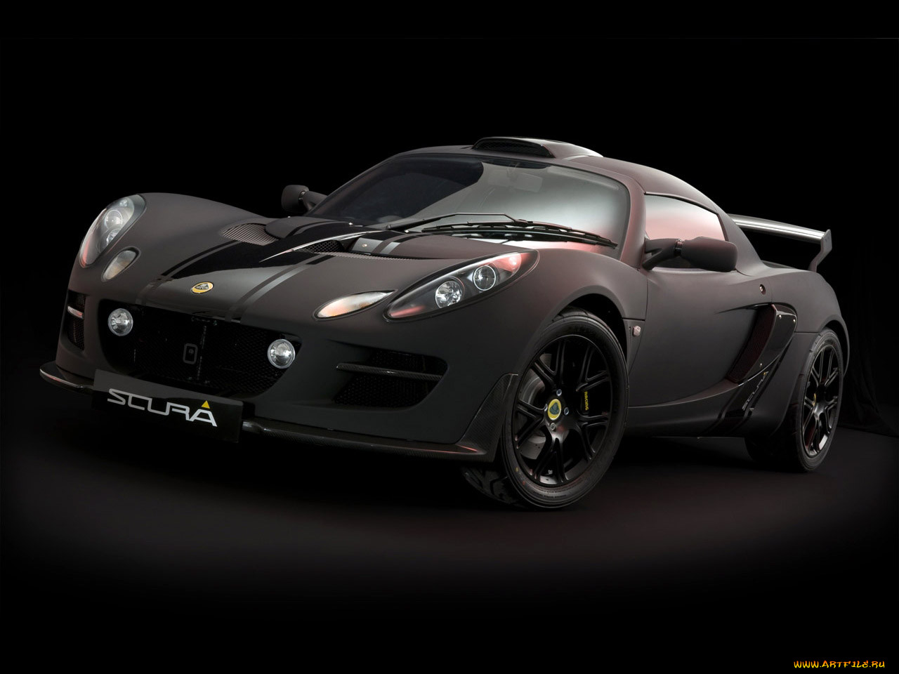 , lotus
